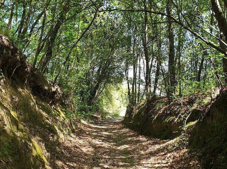 Agriturismo Colleverde