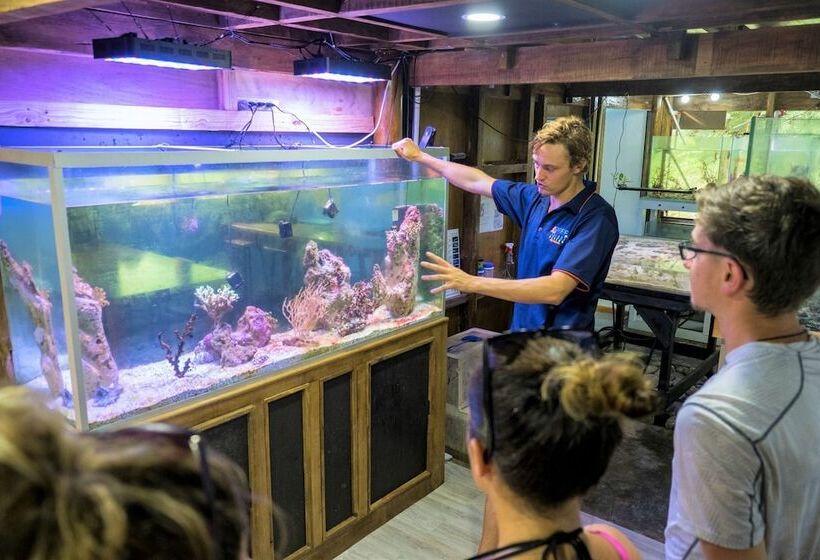 Barefoot Manta Island Resort