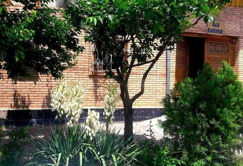 B&b Bahodir