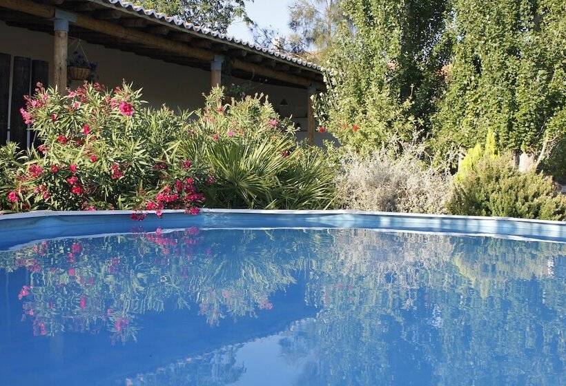 Отель Casas Do Palheiro Velho