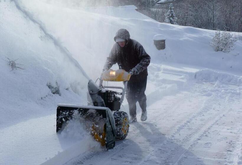 호텔 Chalet Des Alpes