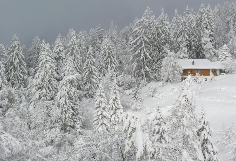 호텔 Chalet Des Alpes