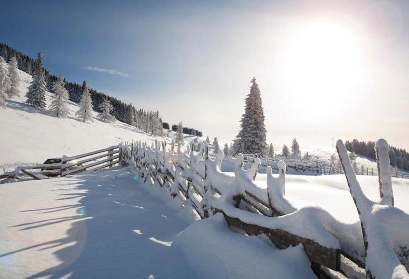 فندق Der Wilde Eder