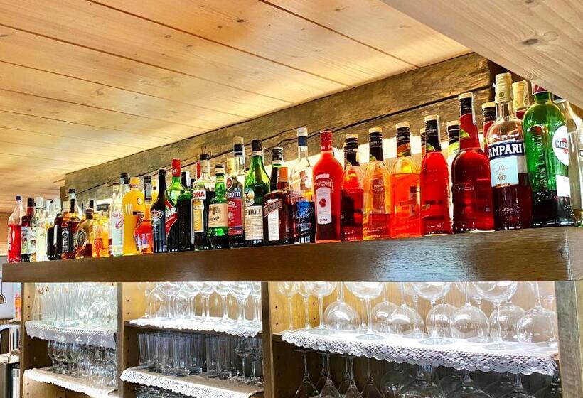 酒店 Friedemann