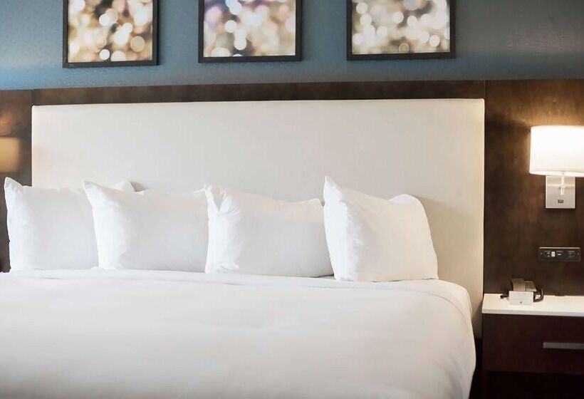 酒店 Hilton Garden Inn Minneapolis University Area