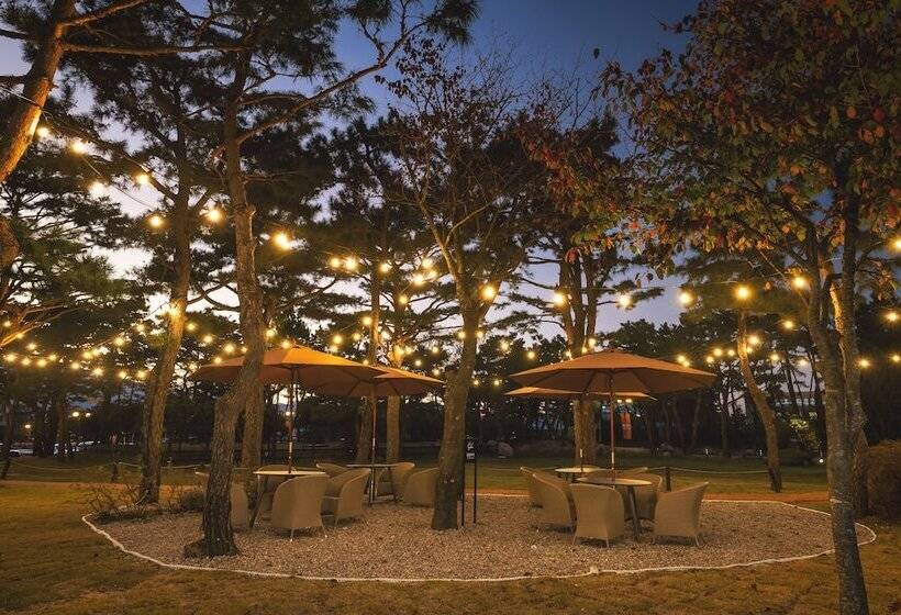 ホテル Kensington Resort Seorak Beach