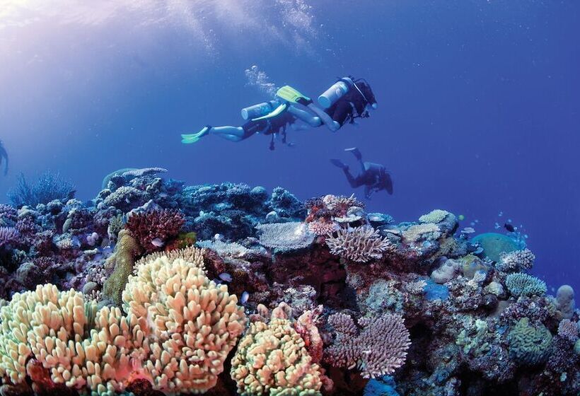 فندق Mantaray Island Resort