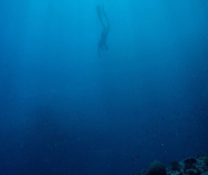 فندق Mantaray Island Resort