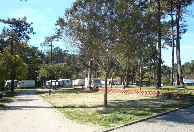 בית מלון כפרי Parque De Campismo Orbitur Caminha