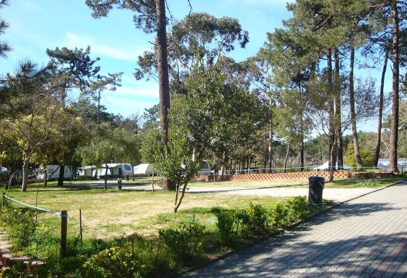 בית מלון כפרי Parque De Campismo Orbitur Caminha