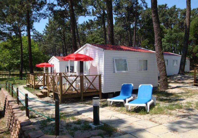 בית מלון כפרי Parque De Campismo Orbitur Caminha