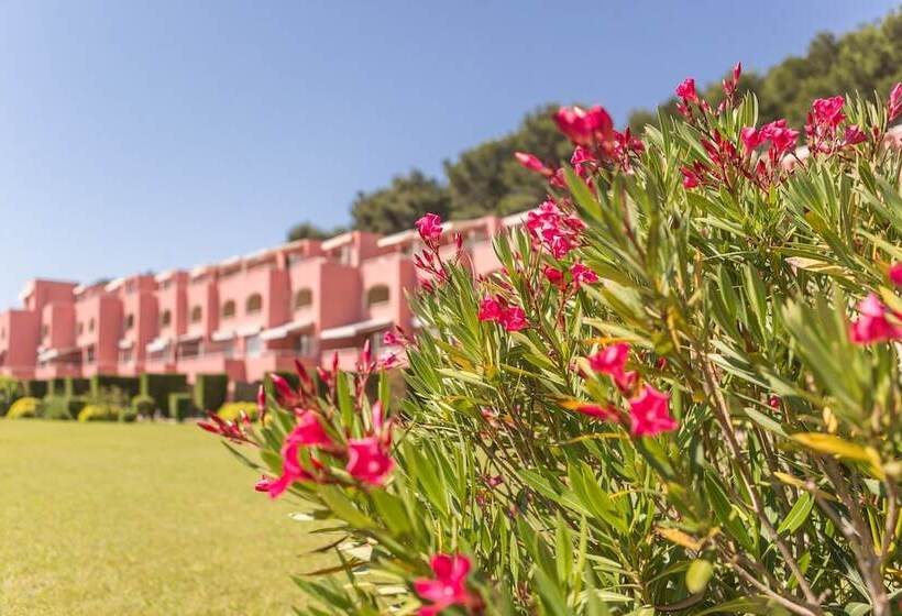 酒店 Résidence Pierre & Vacances Les Jardins De La Côte D Azur