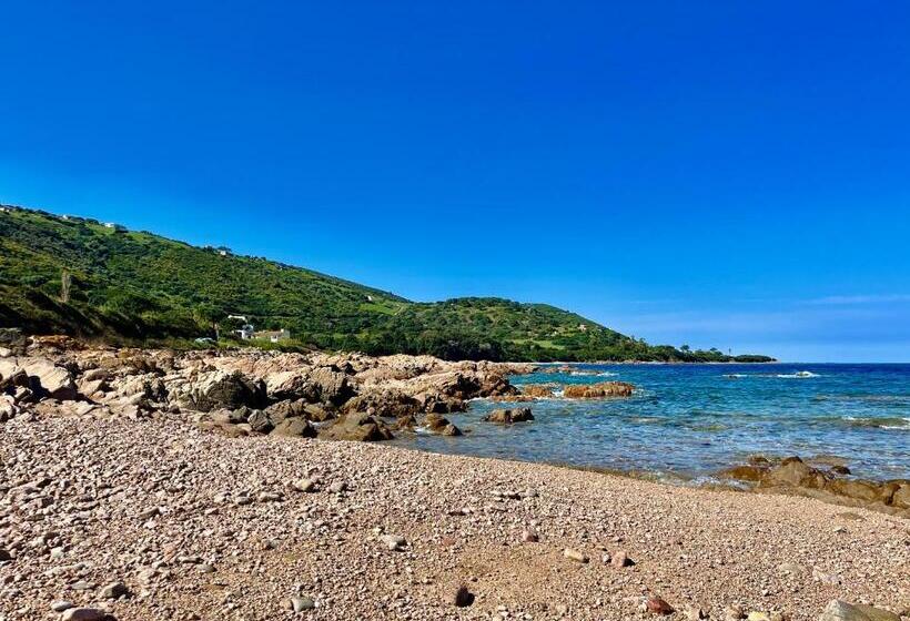 ホテル Résidence Punta Paliagi