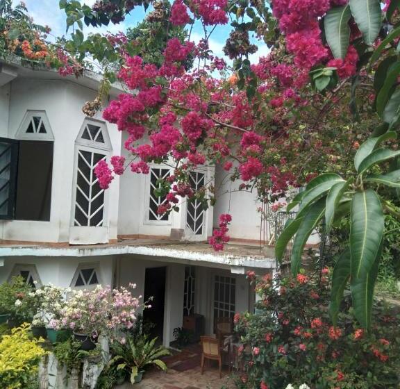 ホテル Olivia Guest