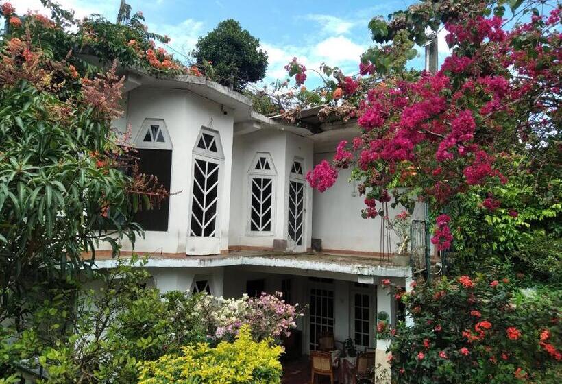 ホテル Olivia Guest