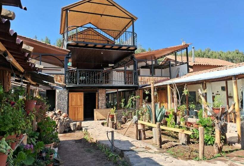 هاستل Kosko Casa