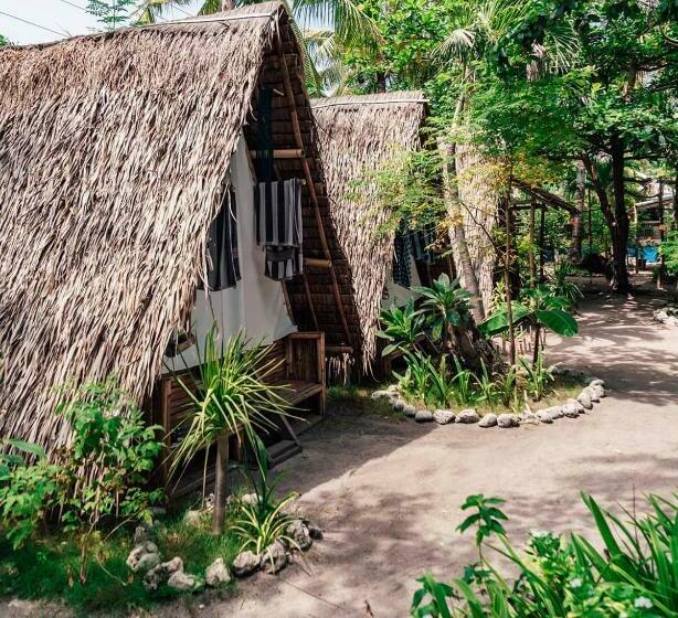 Georgia S Neverland Hostel