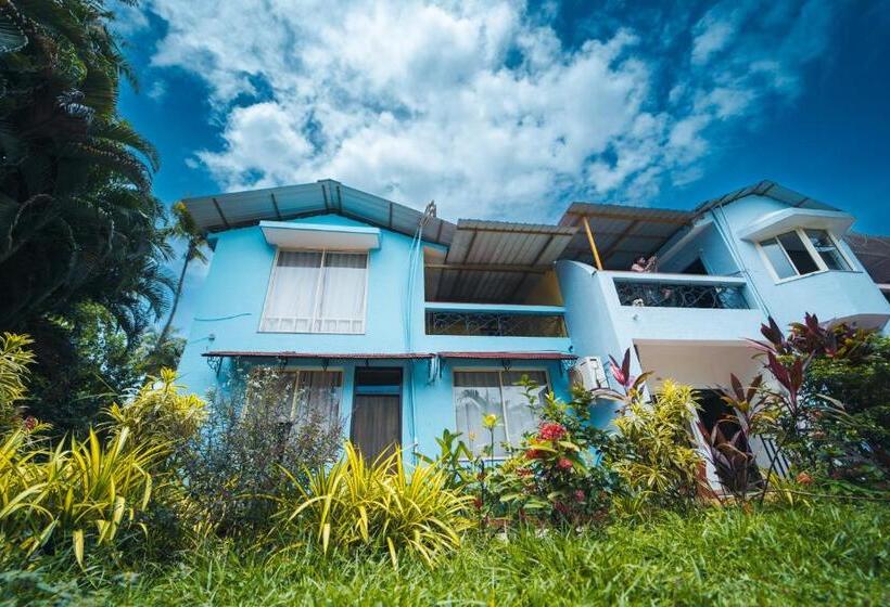 בית מלון כפרי Atulyam Villa  Anjuna