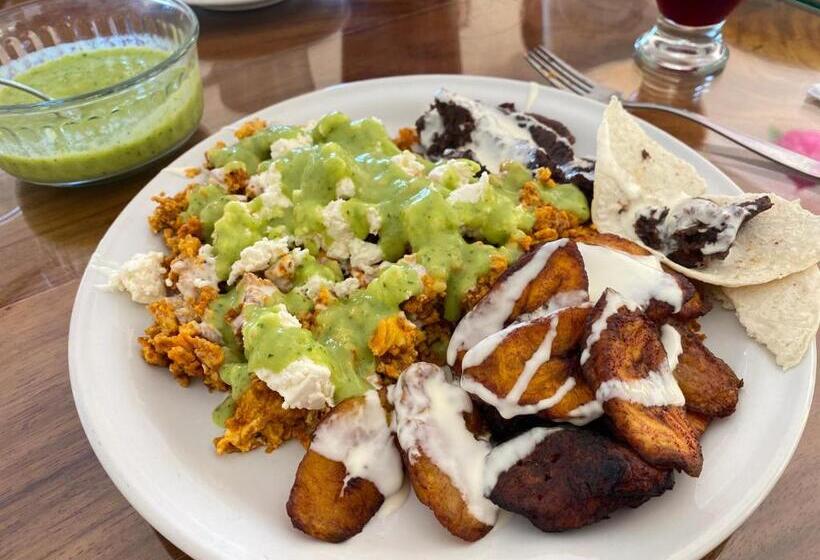 酒店 Casa Del Rey!!