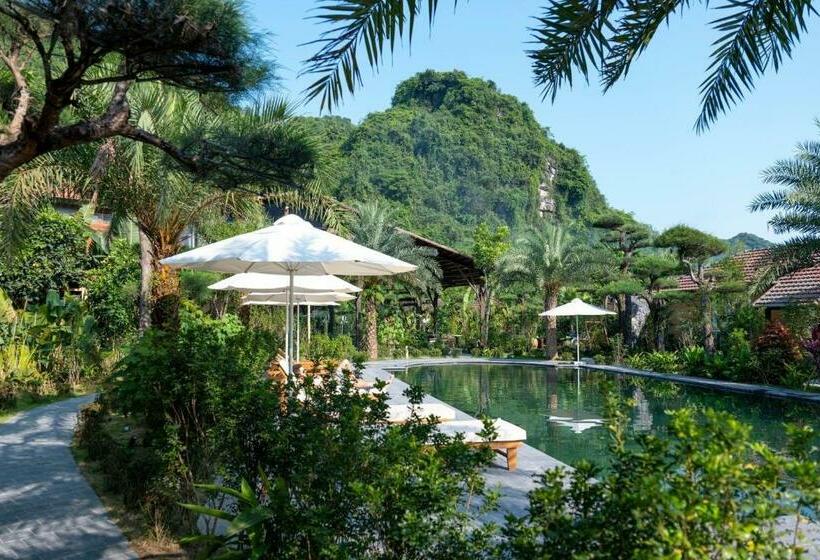 هتل Dulichxanhonline