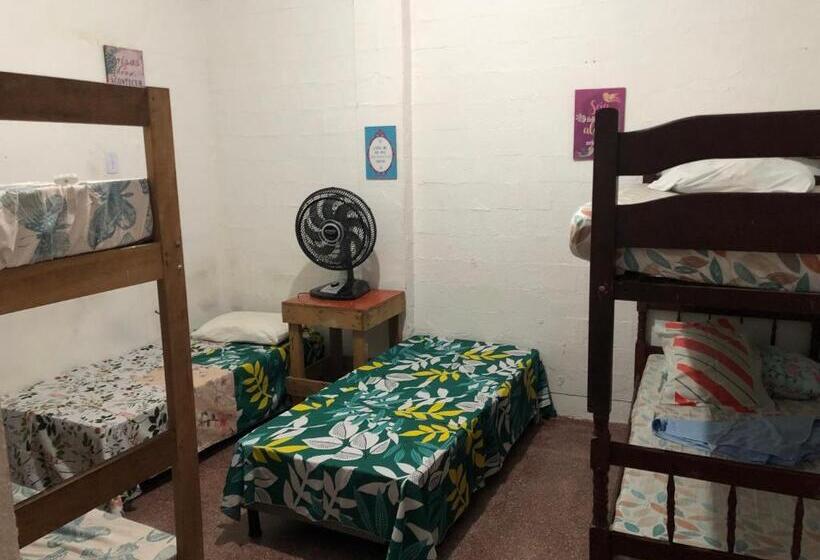 Lê Frevo Pernambucano Hostel