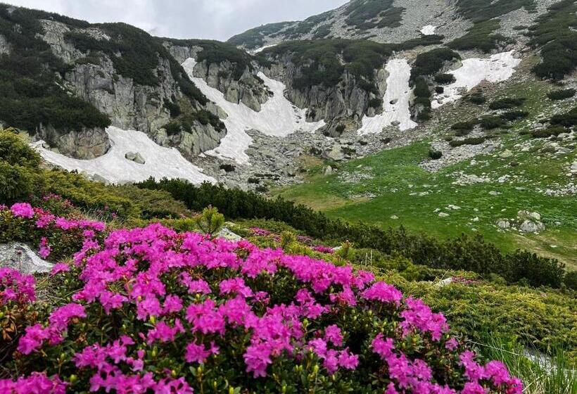 بنسيون La Izvoare