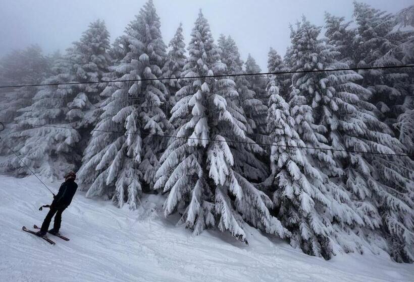 بنسيون La Izvoare