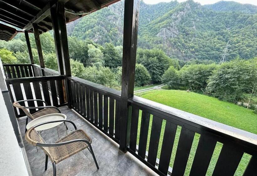 بنسيون La Izvoare