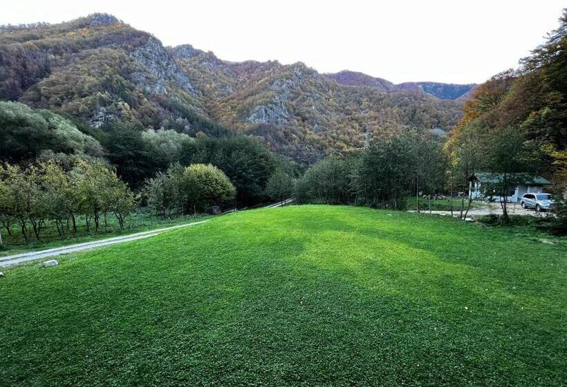 بنسيون La Izvoare