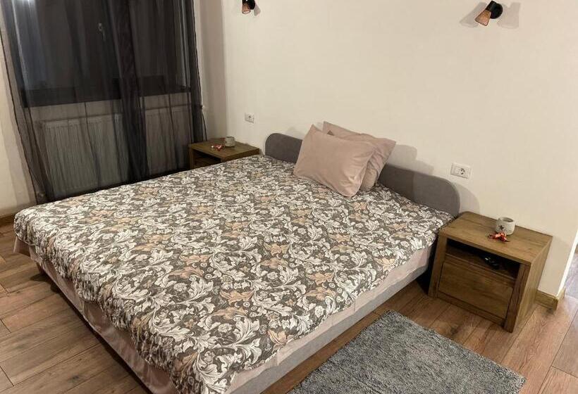 بنسيون La Izvoare