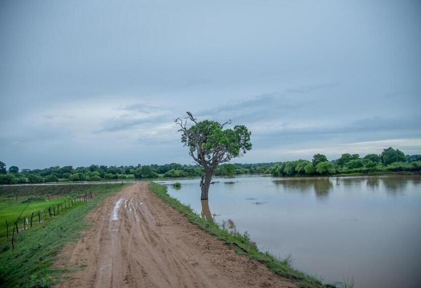 אתר נופש Animal View Point Yala