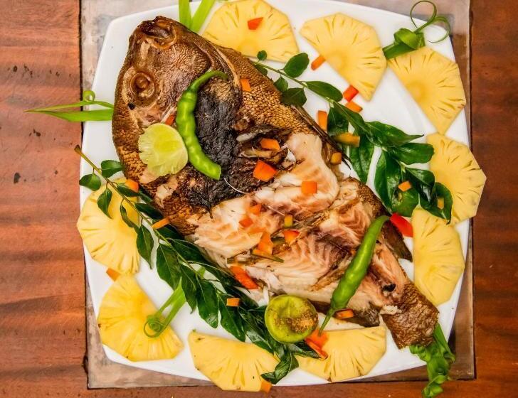 אתר נופש Animal View Point Yala