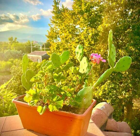 Bed and Breakfast Linden House Etna