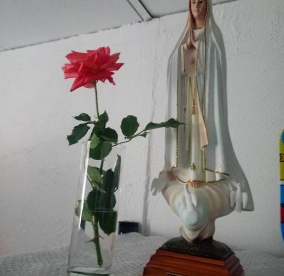 مبيت وإفطار Residencial Brazen