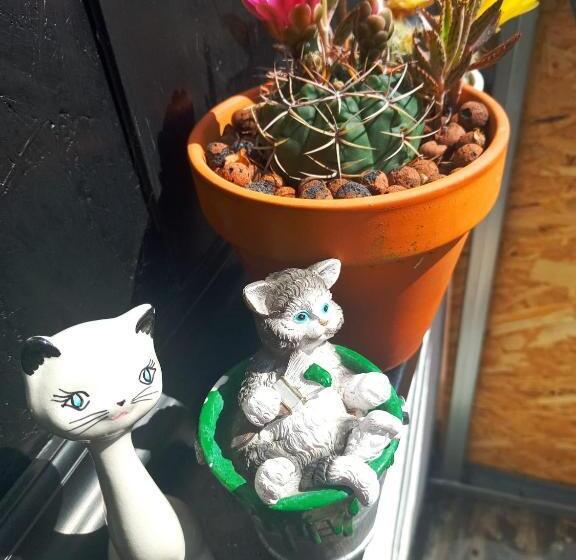 צימר Residencial Brazen