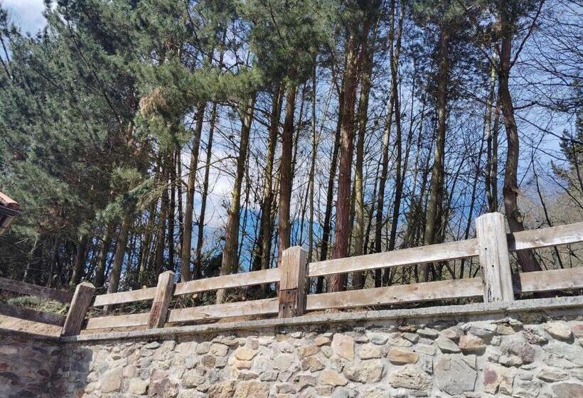 Отель El Nuevo Semellon