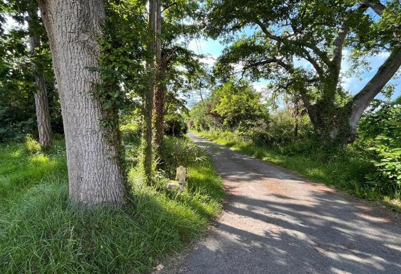 בית מלון כפרי Métairie De Moutiques