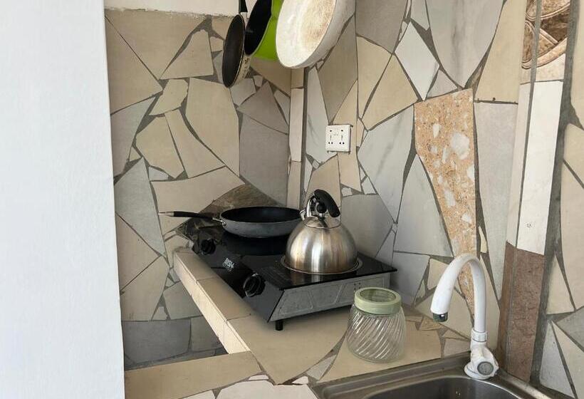 펜션 Terrapin Village And Hostel