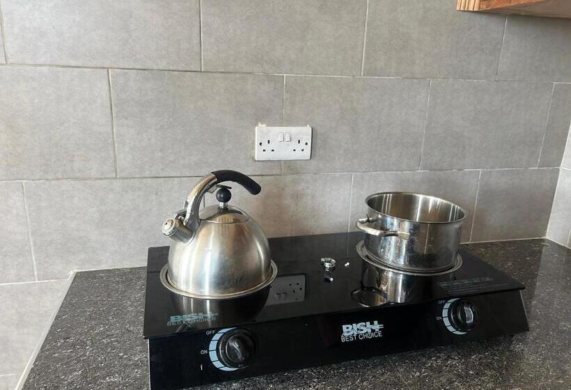 펜션 Terrapin Village And Hostel