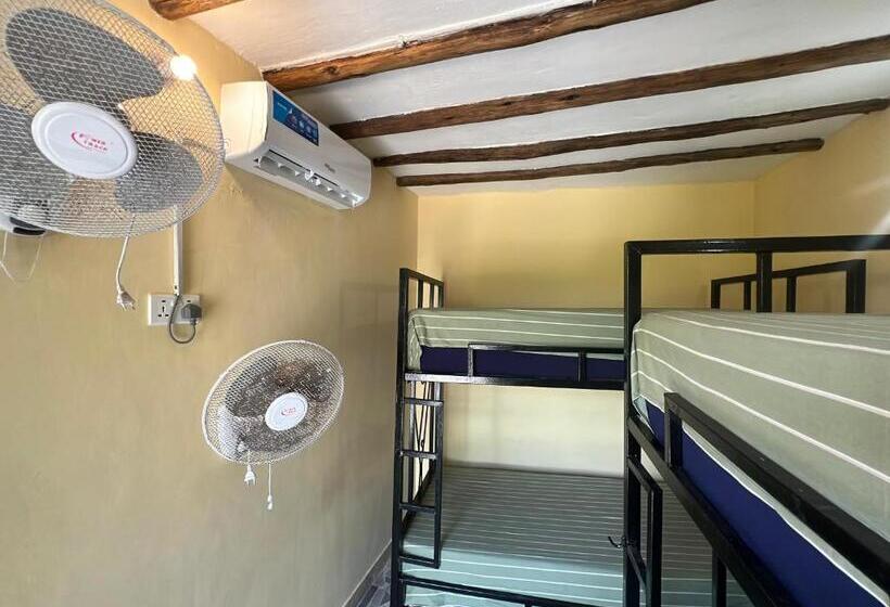 펜션 Terrapin Village And Hostel