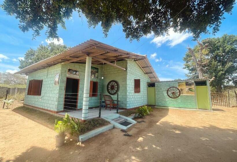 Общежитие Jungle House And Camping Tents