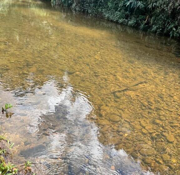 旅馆 Pousada Dona Chica