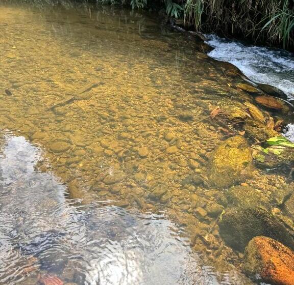 旅馆 Pousada Dona Chica