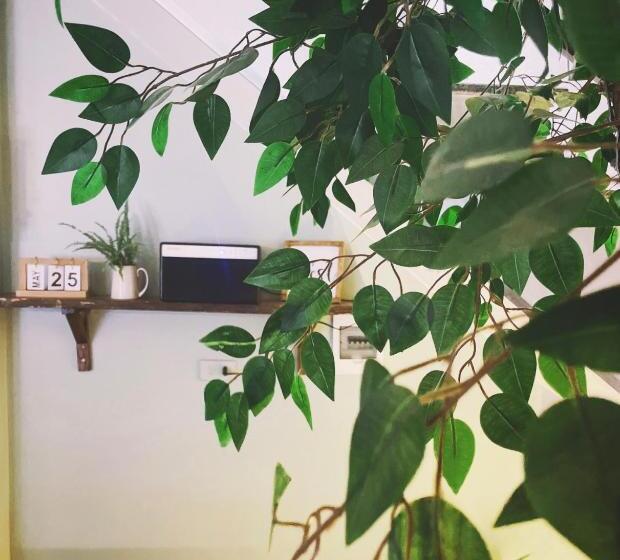 هتل Babahouse Homestay Thành Phố Vinh