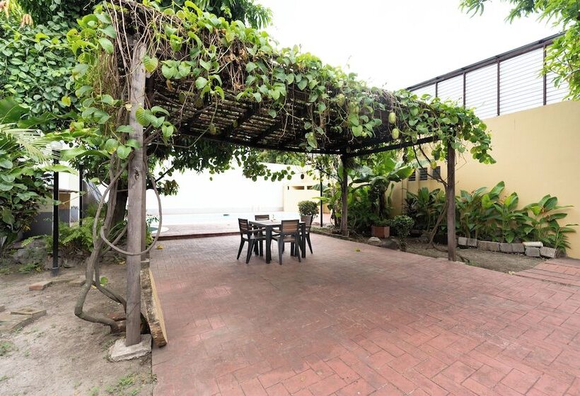 بنسيون Volcano Hostal Y Restaurante