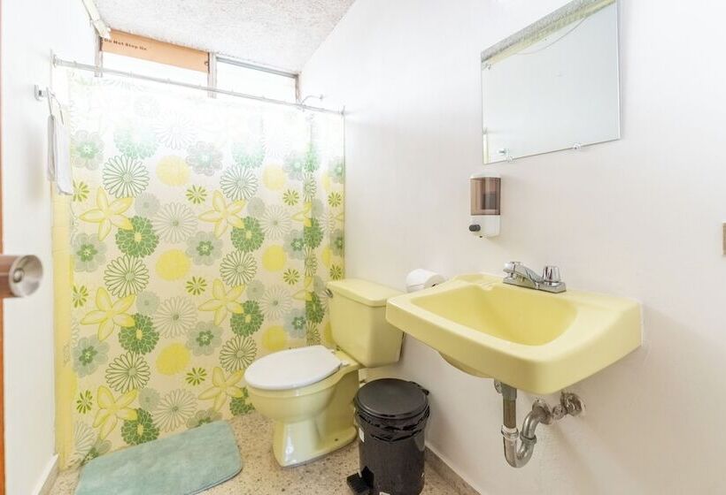 بنسيون Volcano Hostal Y Restaurante