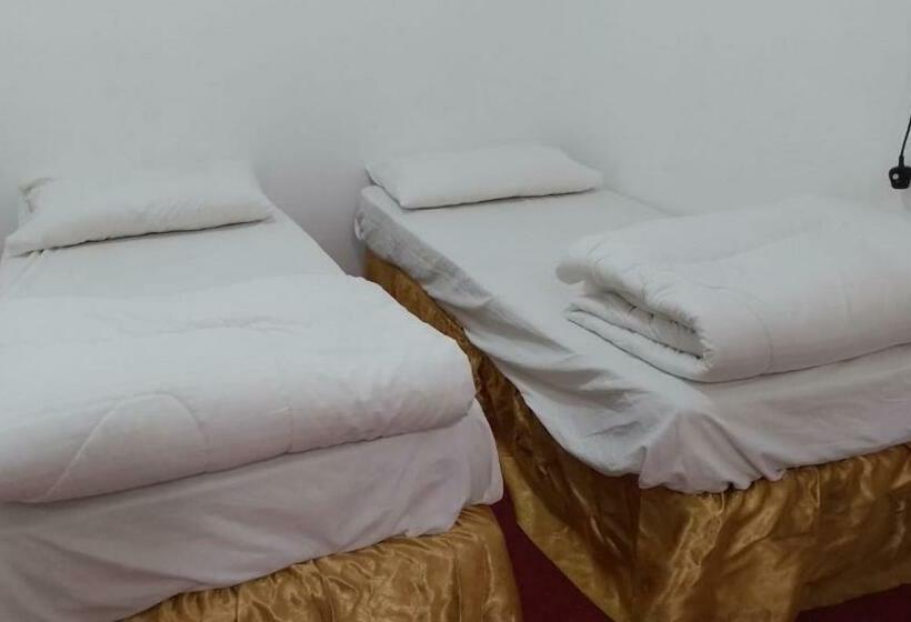 هاستل شركة علم الحيات تشغيل الفندق