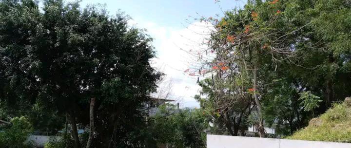 هاستل Casa Montemar Hotel San Vicente