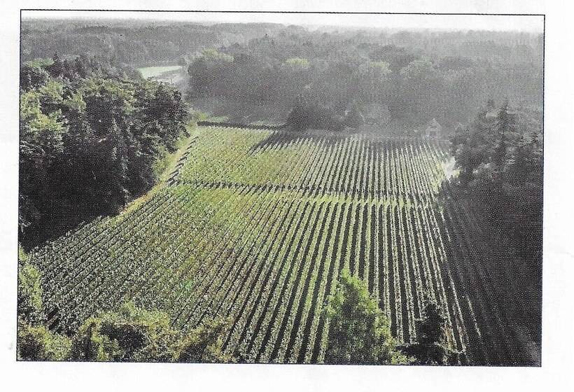 住宿加早餐  Bnb Waterzicht