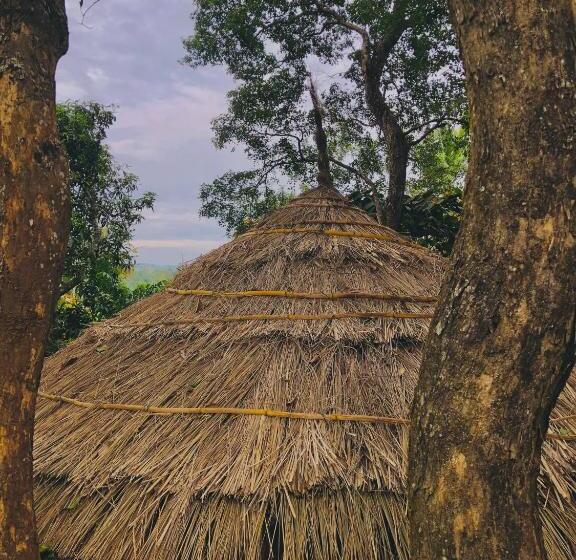 Bed and Breakfast Punarjani Ayurvedic Resorts